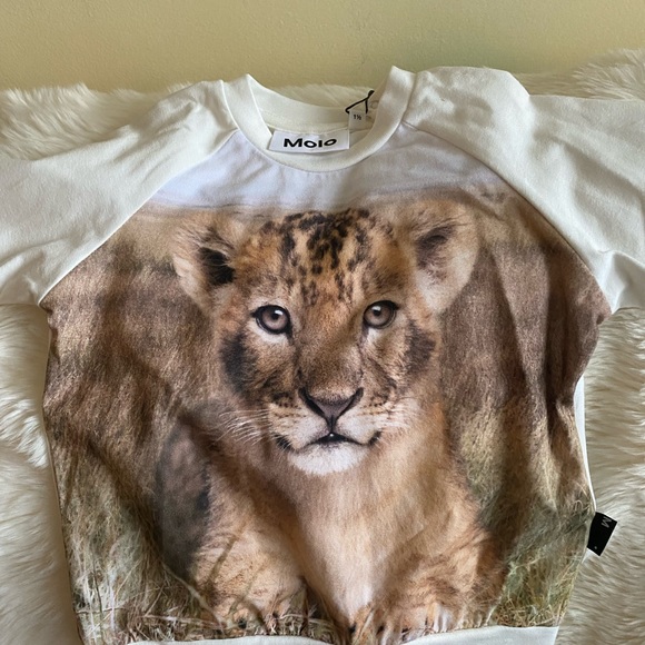 Molo Boy's Esco Lion Cub Graphic Sweatshirt Size 18M Cream, tan, brown - Picture 2 of 8